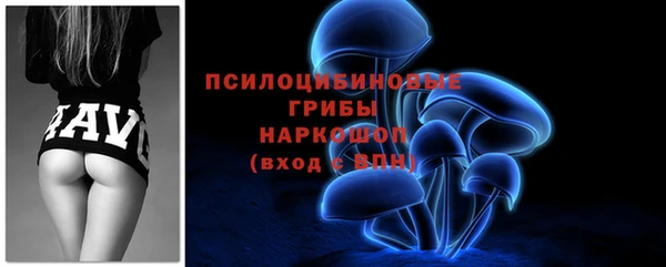 спайс Баксан