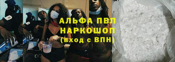 спайс Баксан