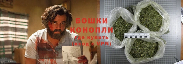 спайс Баксан
