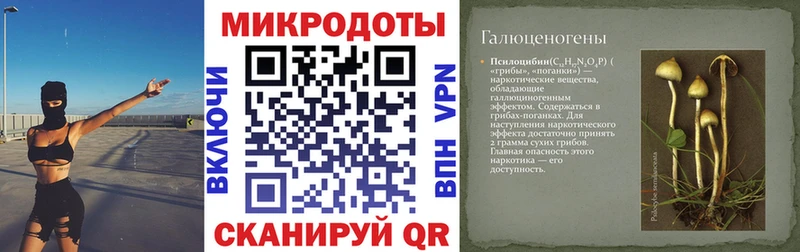 Псилоцибиновые грибы прущие грибы  Новоаннинский 